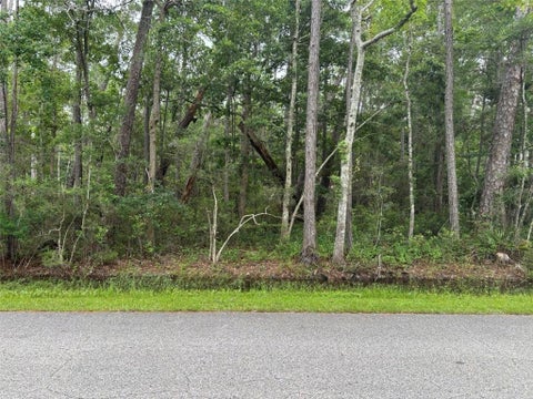 Photo of 807 Alabama Avenue, Dauphin Island, AL 36528 (MLS # 7783546)