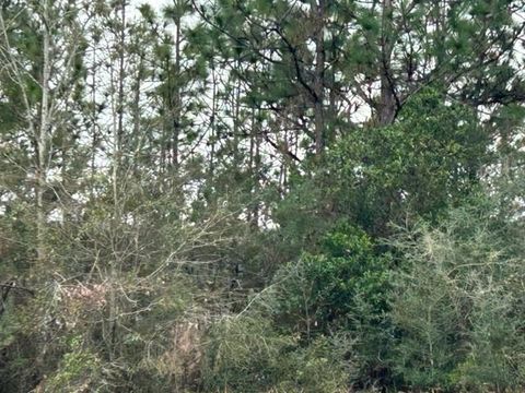 Photo of 0 Royal River Drive, Coden, AL 36523 (MLS # 7523886)