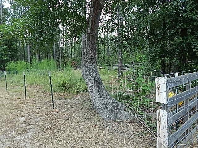 29863 County Road 87 - Photo 4