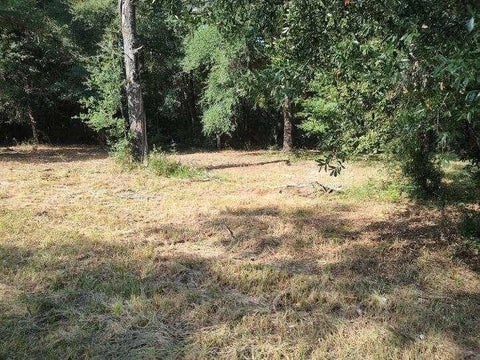 Photo of 4710 John Sims Road E, Wilmer, AL 36587 (MLS # 7822075)