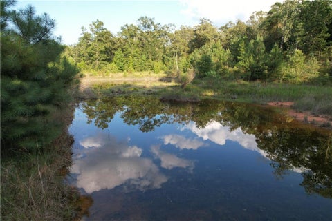 Photo of 0 Hunters Trail, Citronelle, AL 36522 (MLS # 7813700)