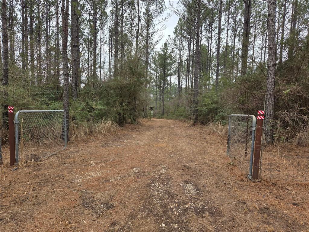 0 Chunchula Landfill Road - Photo 4