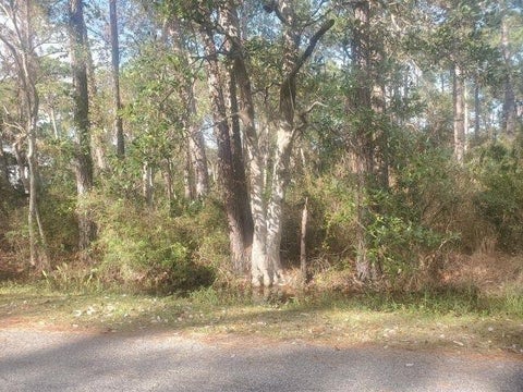 Photo of 228 Chenault Avenue, Dauphin Island, AL 36528 (MLS # 7824185)
