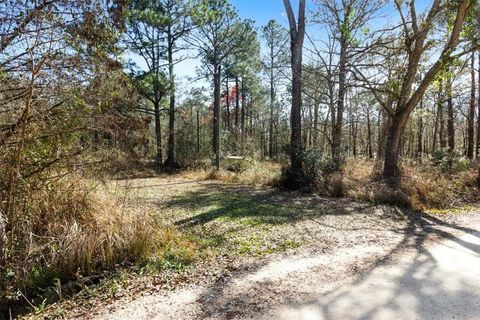 Photo of 16045 Williams Road, Coden, AL 36523 (MLS # 7661812)