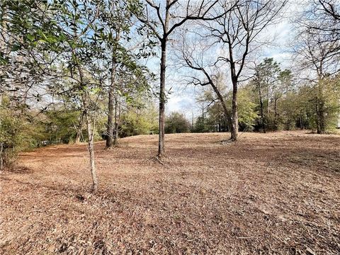 Photo of 1135 Timber Creek Drive, Axis, AL 36505 (MLS # 7719207)