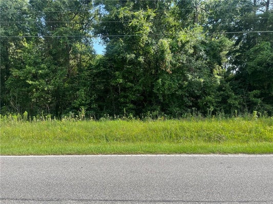 RIVIERE DU CHIEN RD, MOBILE, AL 36693 - Image 4d013d20372012b75d638e27439737cb/3575679032