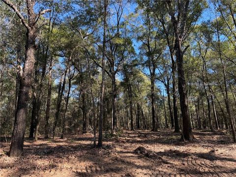 Photo of 0 Danner Road, Wilmer, AL 36587 (MLS # 7759422)