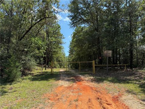 Photo of 7355 Irwin Street, Citronelle, AL 36522 (MLS # 7645133)