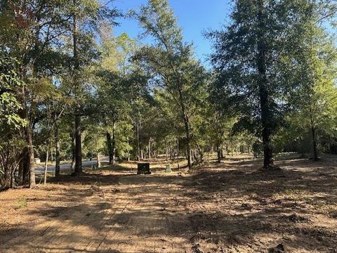 Photo of 0 Newman Road, Mobile, AL 36695 (MLS # 7670125)