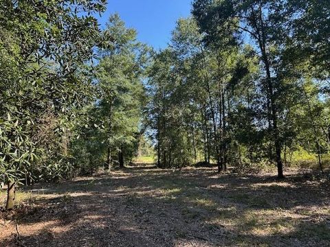 Photo of 0 Newman Road, Mobile, AL 36695 (MLS # 7670125)
