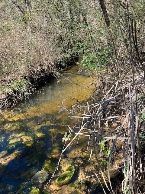 Photo of 3548 Schillinger Road S, Mobile, AL 36619 (MLS # 7398567)