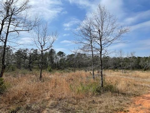 Photo of 10765 Mary Ann Beach Road, Fairhope, AL 36532 (MLS # 7610456)