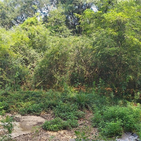 Photo of 0 Outlaw Road, Eight Mile, AL 36613 (MLS # 7810253)