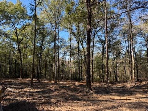 Photo of 0 Danner Road, Wilmer, AL 36587 (MLS # 7705528)