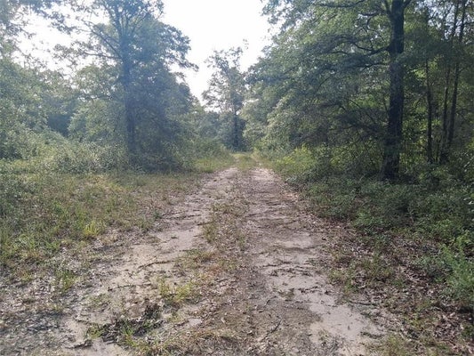 BEAVER LAKE CT, WILMER, AL 36587 - Image 607fb75416d872d0d65d4e4cfa16698d/2619284456