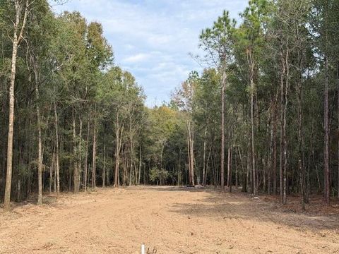 Photo of 0 Danner Road, Wilmer, AL 36587 (MLS # 7705602)