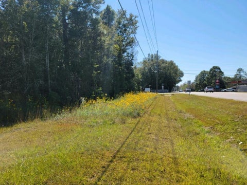 Photo of 2 Two Mile Road, Irvington, AL 36544 (MLS # 7794683)