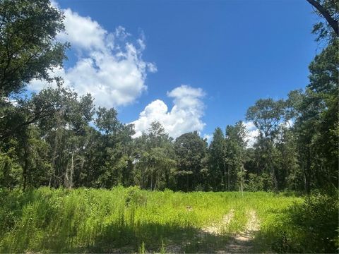 Photo of 0 Creel Road, Theodore, AL 36582 (MLS # 7702955)