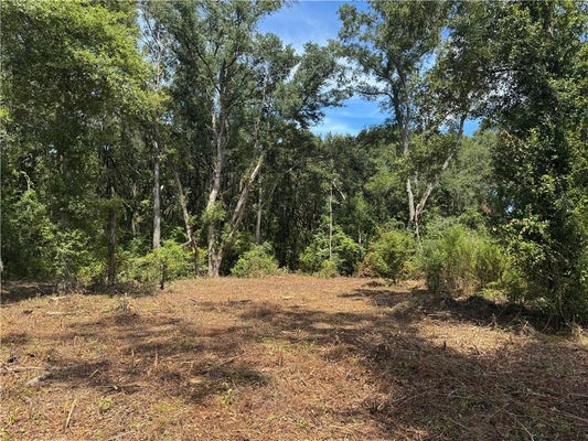 LUNDY RD, THEODORE, AL 36582 - Image 6dc5e27fd540dfbb53bd4779e8d5a060/946337934