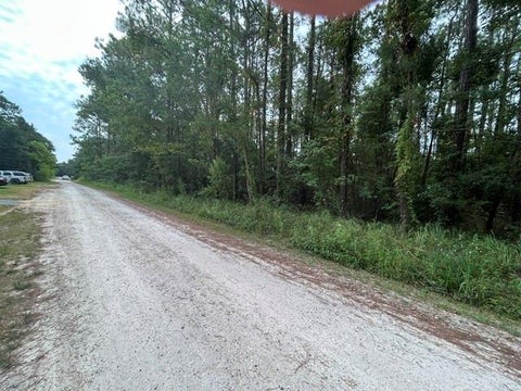 Photo of 0 Highway 188, Coden, AL 36523 (MLS # 7813164)