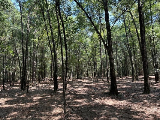 0 DANNER ROAD, WILMER, AL 36587 - Image 71f4938f8927efa8cedb7cebc0f1fa12/3650484407