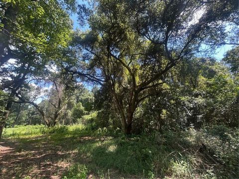 Photo of 0 Creel Road, Theodore, AL 36582 (MLS # 7552582)