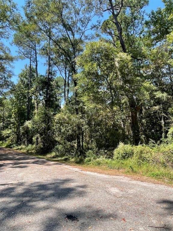 Photo 1 of 3 — 0 Caster Street, Mobile, AL 36605