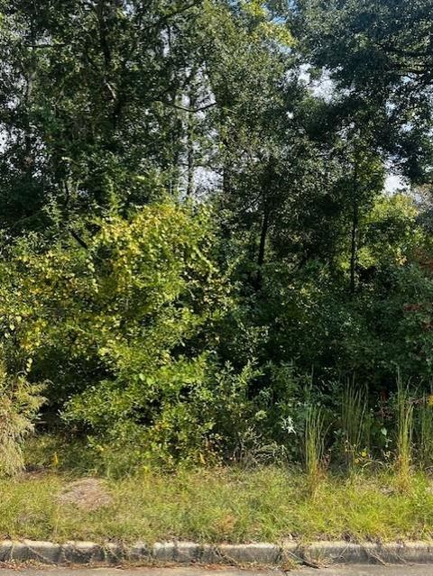 Photo of 0 Oxbridge Way, Mobile, AL 36695 (MLS # 7471868)