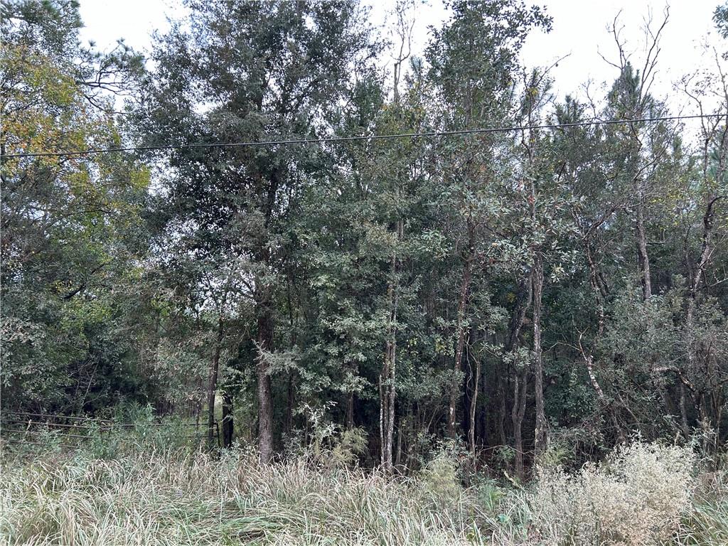 View of woods