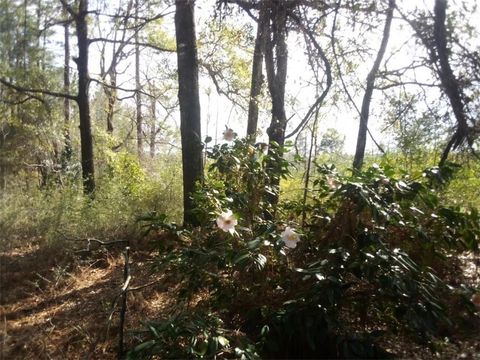 Photo of 19390 Joan Harris Road, Mount Vernon, AL 36560 (MLS # 7731447)