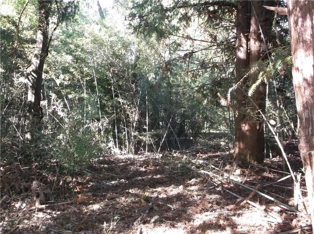 Photo 1 of 6 — 0 Murray Road, Irvington, AL 36544