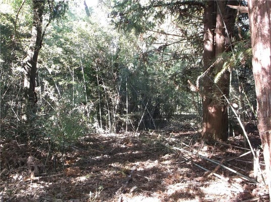 MURRAY RD, IRVINGTON, AL 36544 - Image 80d76fa01edc3c7eade1e39a18f490ba/3786576018