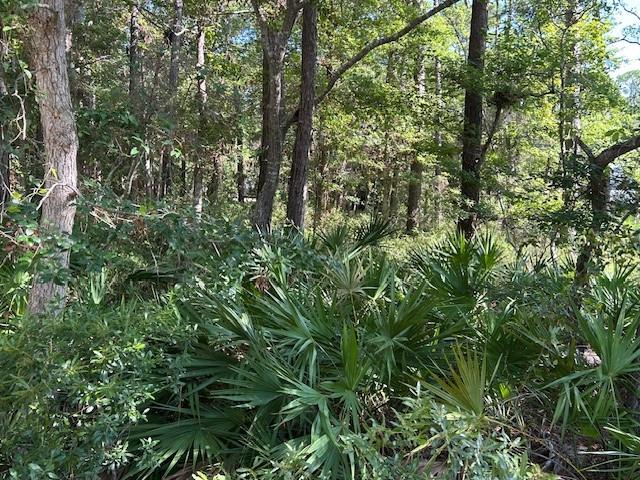 Photo 1 of 8 — 712 Indian Place, Dauphin Island, AL 36528