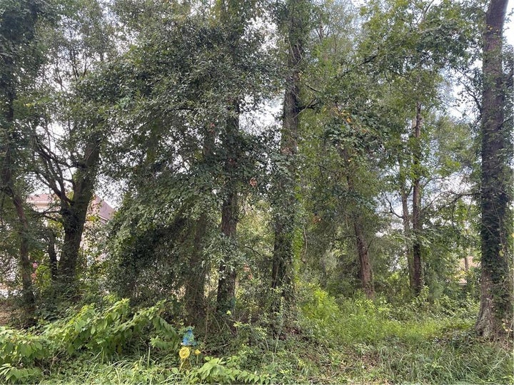 Photo 1 of 1 — 0 Bishop Lane N 8, Mobile, AL 36608