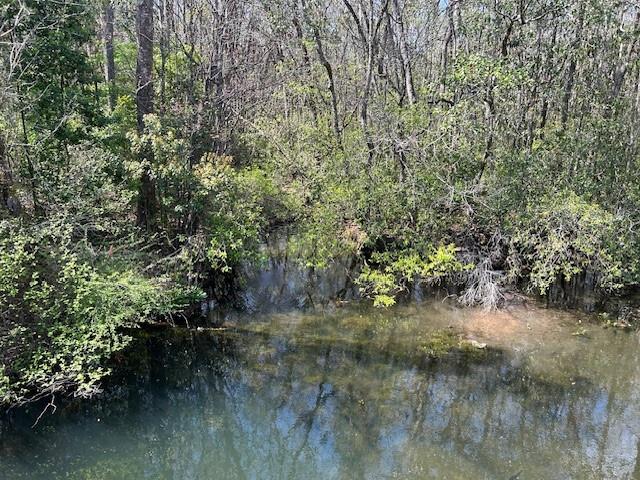 Photo 1 of 9 — 0 Old Pascagoula Road, Theodore, AL 36582