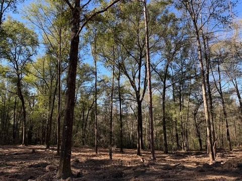 Photo of 0 Danner Road, Wilmer, AL 36587 (MLS # 7760143)