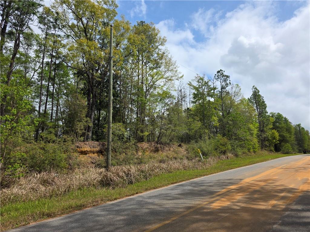 11631 Red Hill Road - Photo 3