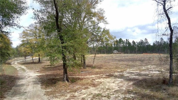 PAUL RD, PERDIDO, AL 36562 - Image 896ddf0170ff2de5f52a47eedef4a8dd/2856598345