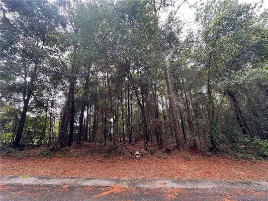 LUKOLI LN, SARALAND, AL 36571 - Image 8a6728e5a386a15d927f8dec6ecd6122/3126538579