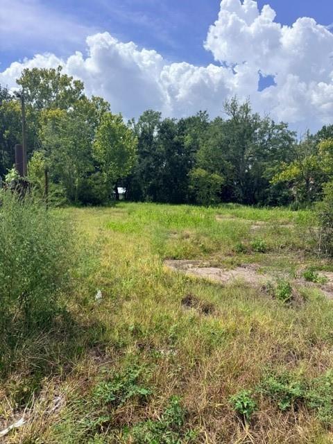 Photo of 612 Houston Street, Mobile, AL 36606 (MLS # 7823401)