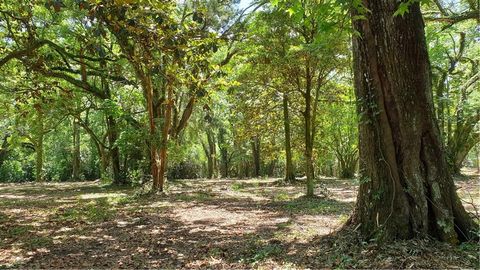 Photo of 5377 Moffett Road, Mobile, AL 36618 (MLS # 7741375)