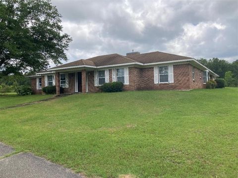 Photo of 20760 3rd Street N, Citronelle, AL 36522 (MLS # 7776755)