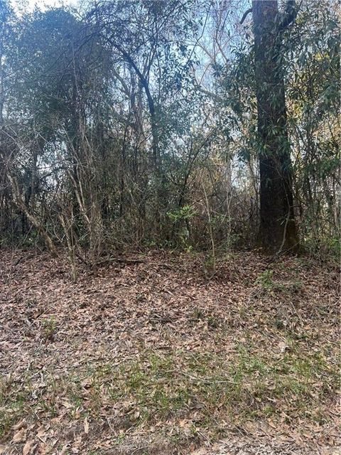 Photo of 10965 Stephens Road, Chunchula, AL 36521 (MLS # 7725860)