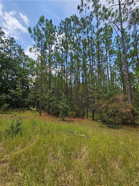 Photo of 6869 Spice Pond Road, Eight Mile, AL 36613 (MLS # 7820019)