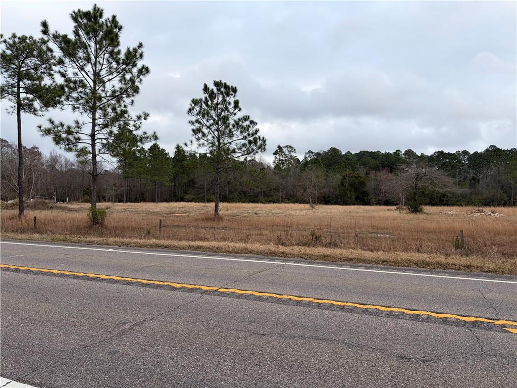 10585 Bellingrath Road - Photo 2