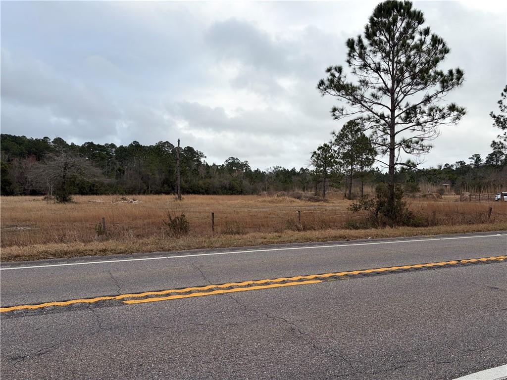 10585 Bellingrath Road - Photo 3