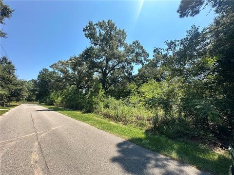 Photo of 8005 Alabama Street, Citronelle, AL 36522 (MLS # 7640150)