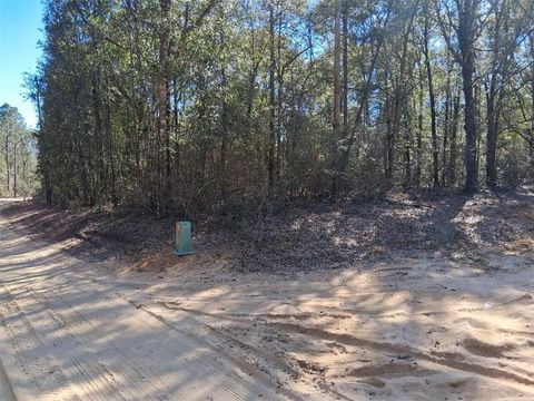 Photo of 0 Williamson Road, Chunchula, AL 36521 (MLS # 7723076)
