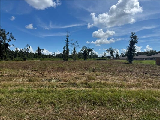 LUNDY RD, THEODORE, AL 36582 - Image 9f4fa309fbd7d655aa573aa7052095d4/215608128