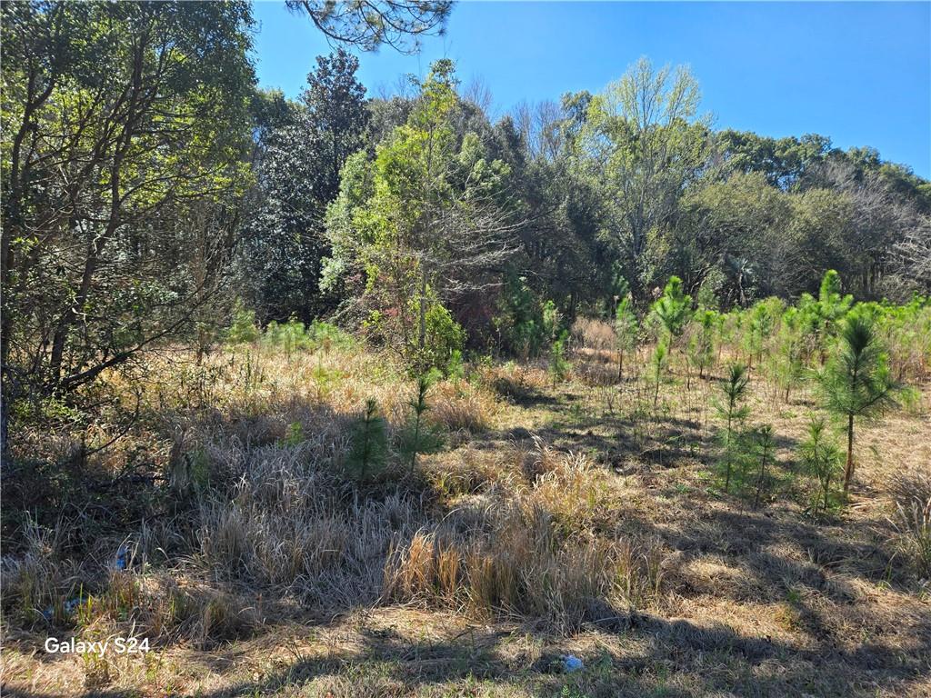 Photo 1 of 6 — 9641 Highway 188, Irvington, AL 36544